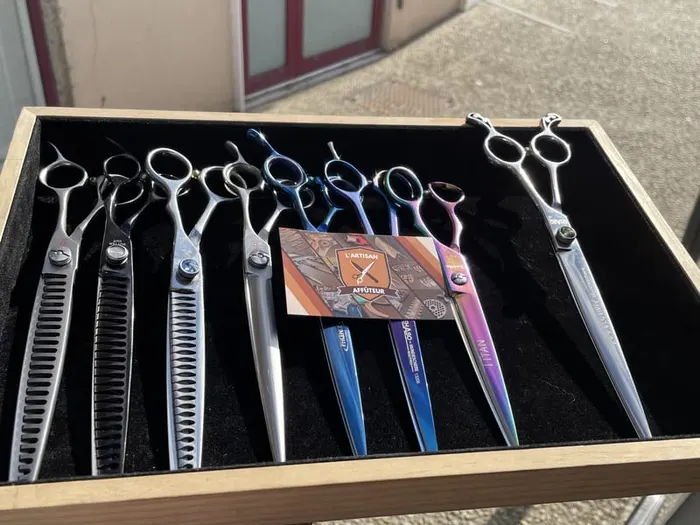 Plateau de ciseaux de coiffure affûtés