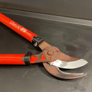Coupe-branche Bahco, lame réaffûtée